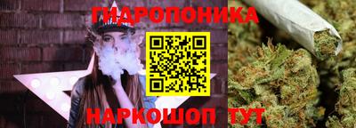 гидропоника Кумертау
