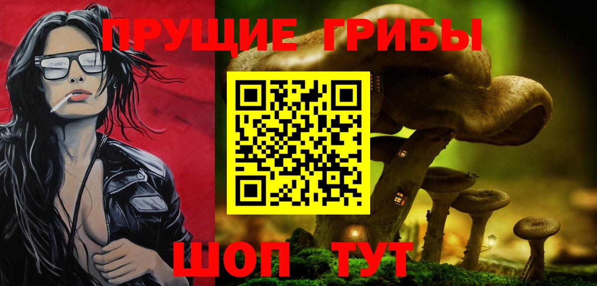 Галлюциногенные грибы мицелий Заводоуковск