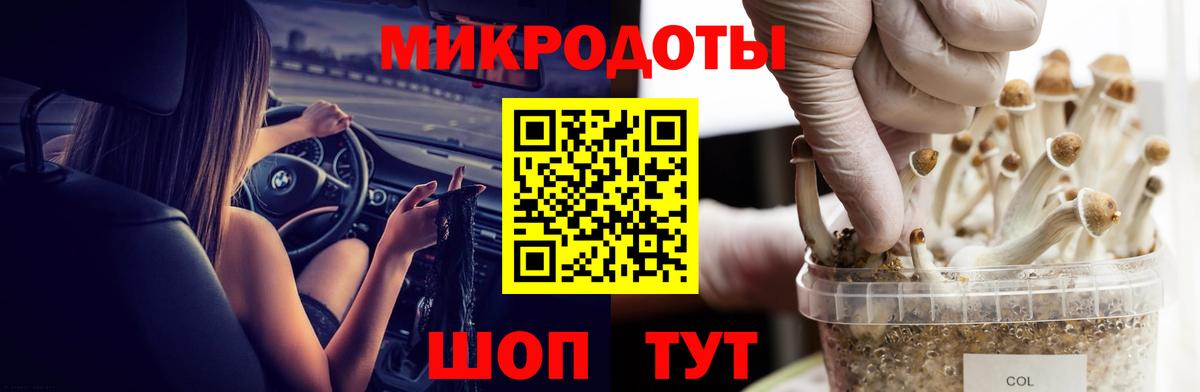 Галлюциногенные грибы Psilocybe  Вход с VPN  Заводоуковск  Псилоцибиновые грибы Psilocybe 